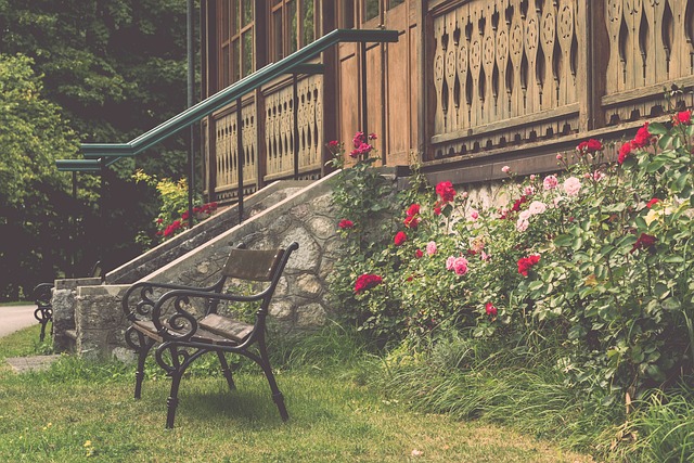 將與新秀協 將與新秀協