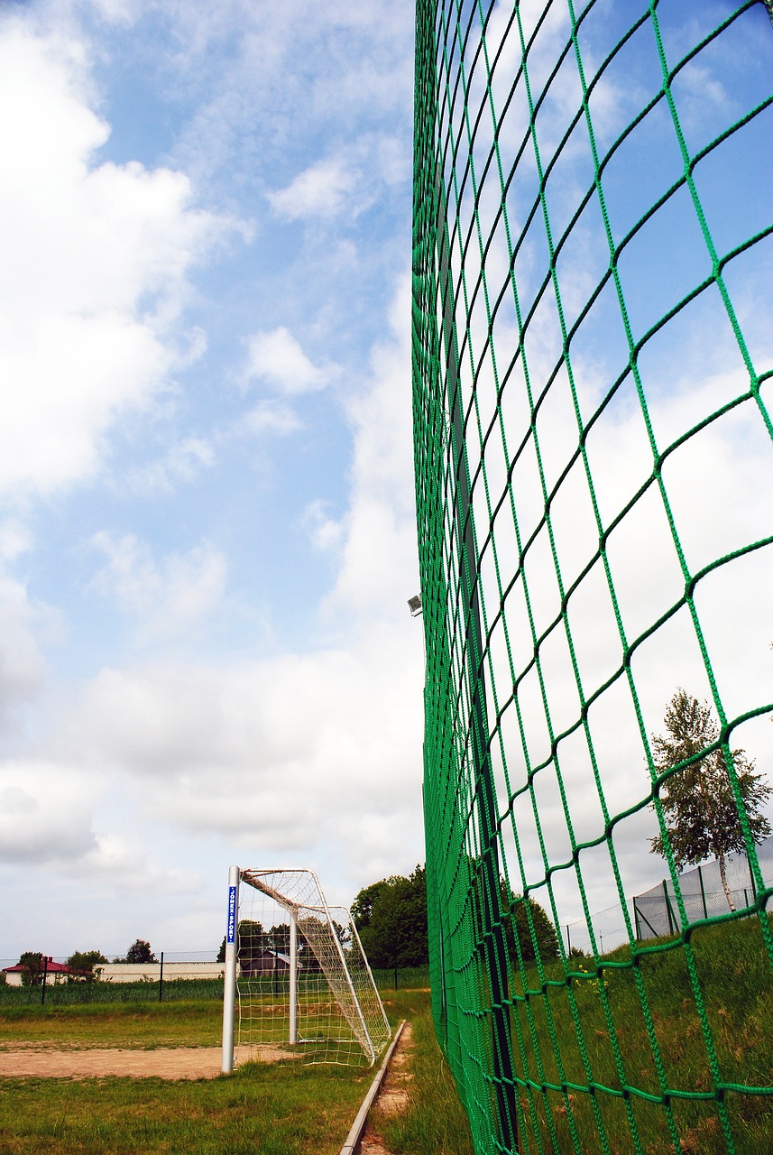 的前锋角色 的前锋角色