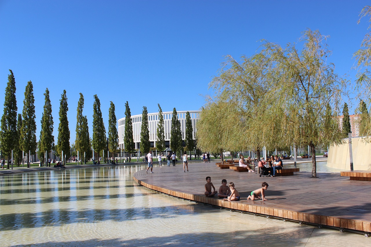 效力于皇家 效力于皇家