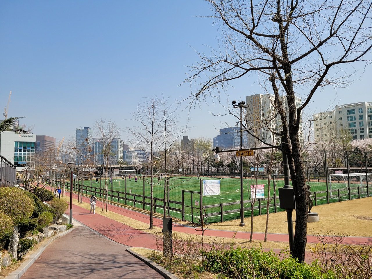 荷兰在面对 荷兰在面对